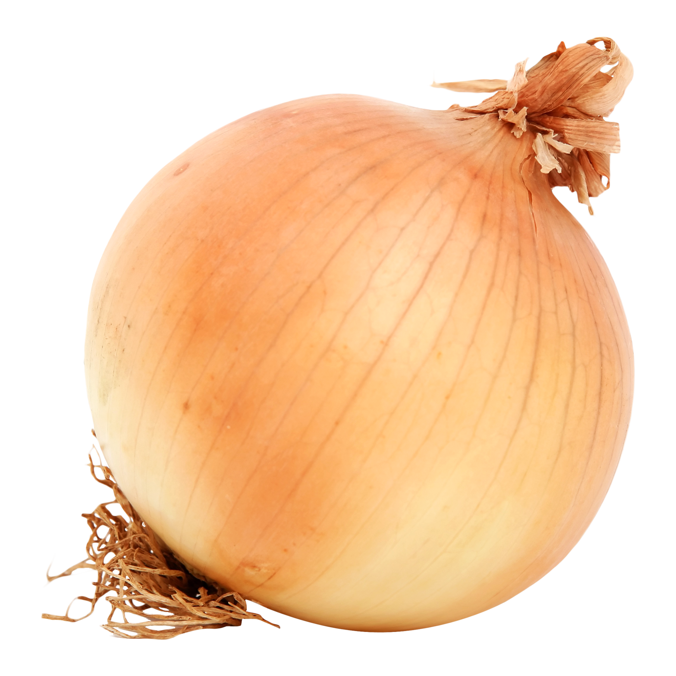 Onions
