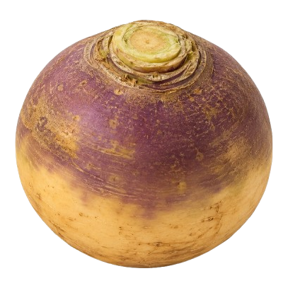 Rutabaga