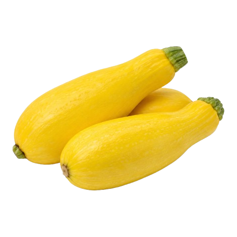 Yellow Squash