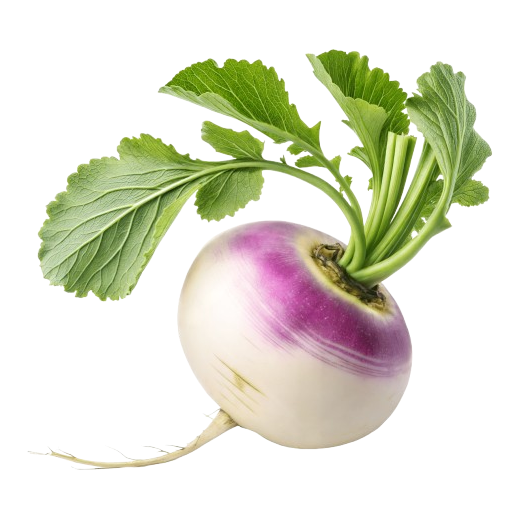 Turnips