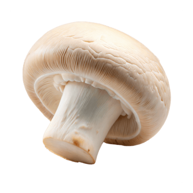 Mushrooms