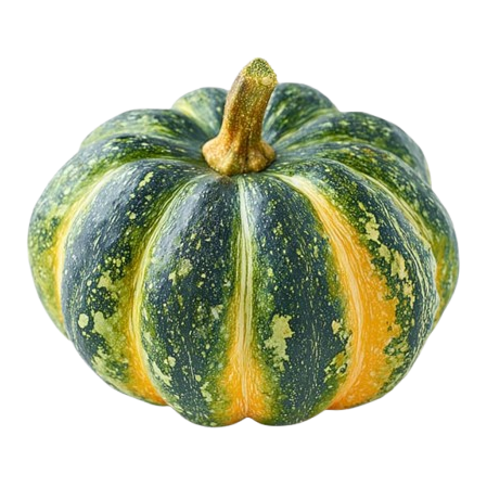 Hard Squash